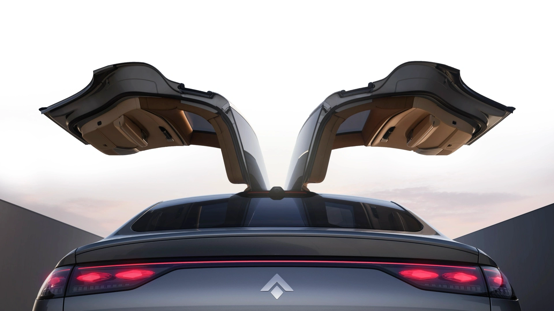 gullwing door